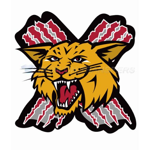 Moncton Wildcats Iron-on Stickers (Heat Transfers)NO.7438